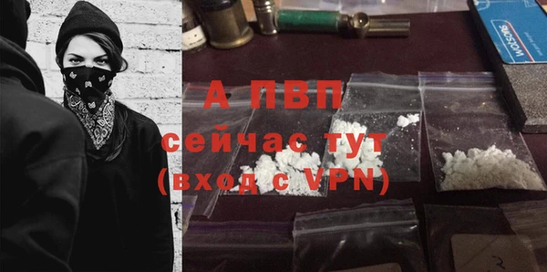 амф Алексин